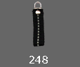 248